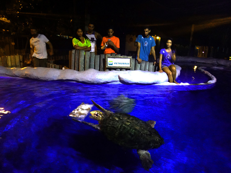 Aquário Tartarugas Marinhas